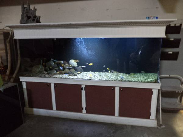 Complete 300 gal Fish Tank Set-Up - $1500 (Taylor, MI)