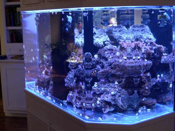 Aquarium for sale/large like new - $2000 (ashland Oregon)