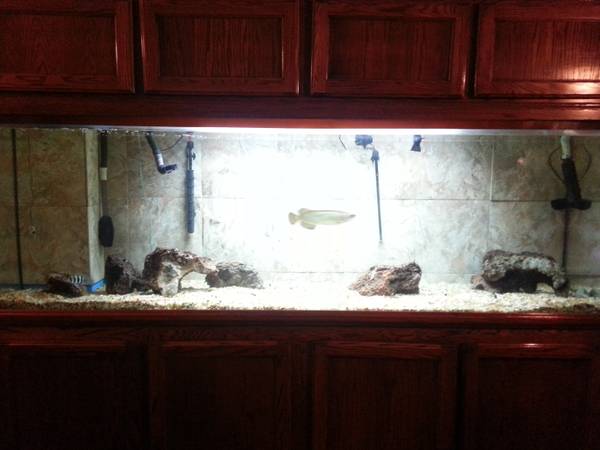 300 Gallon TruVu Fish Tank For Sale (Reduced!) - $1600 SF bay area