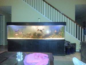 01111_1C42n9irEIu_600x450