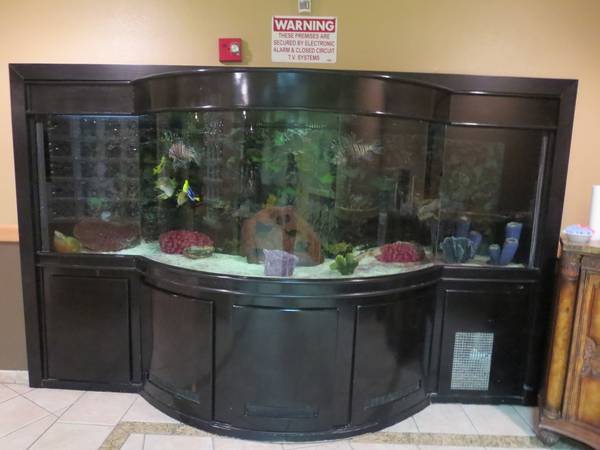1000 Gallon Salt Water Aquarium fully loaded - $5000 (Rainbow/95, Las Vegas) 