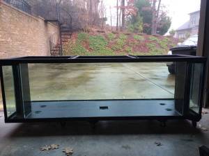 01313_5usX1PBy4ic_600x450