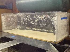 01616_cVAc5XBElHp_600x450