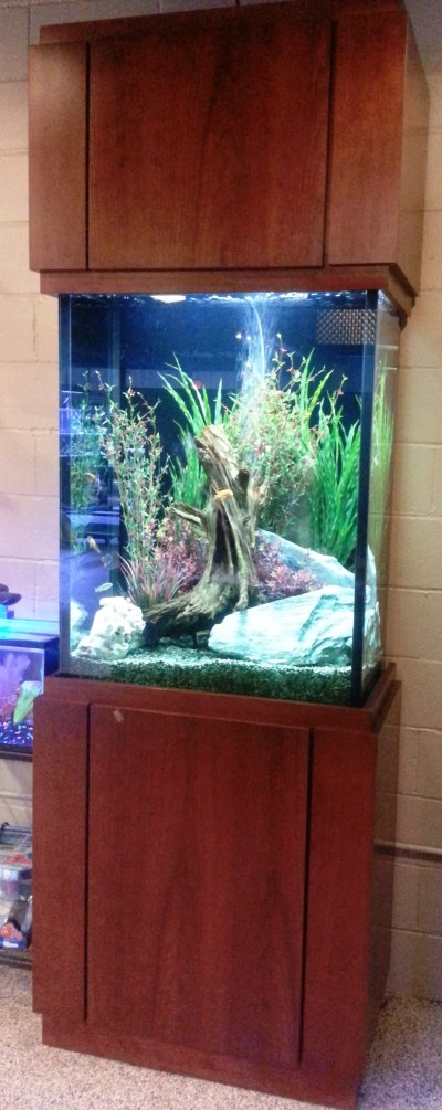 100 gallon freshwater, 30” x 18” x 42”, L x W x H with custom Contemporary Stand and Full Upper Cabinet