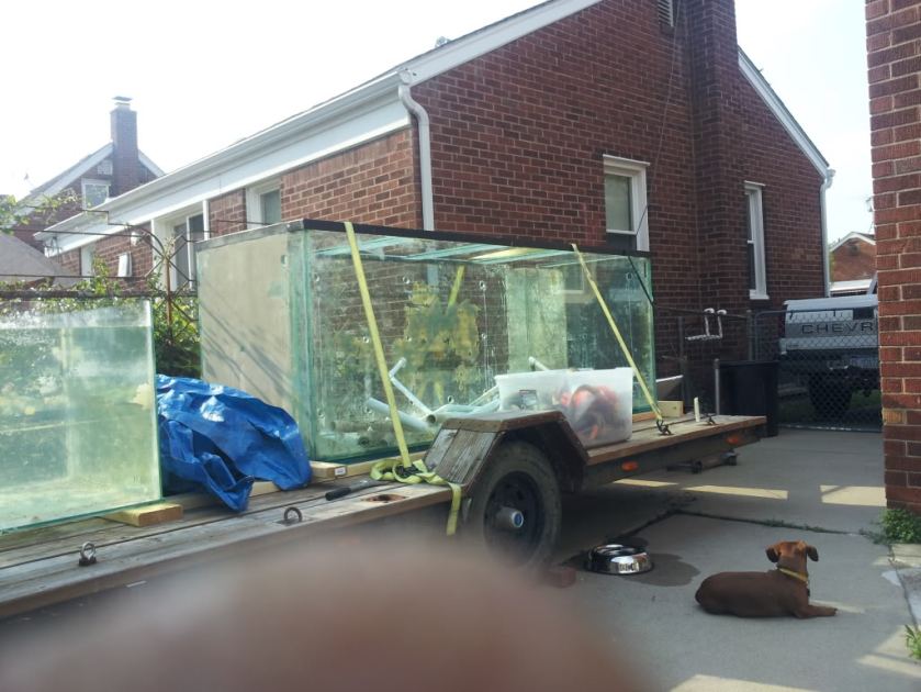  Sad day have to sell my big tank 