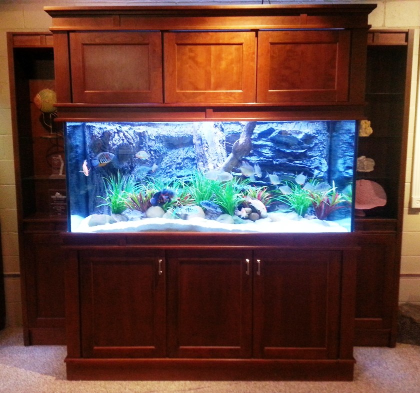 300 gallon freshwater, 72” x 30” x 30”, L x W x H with custom Freshwater Insert on custom Malibu Stand with Full Upper Cabinets and side Pier Cabinets