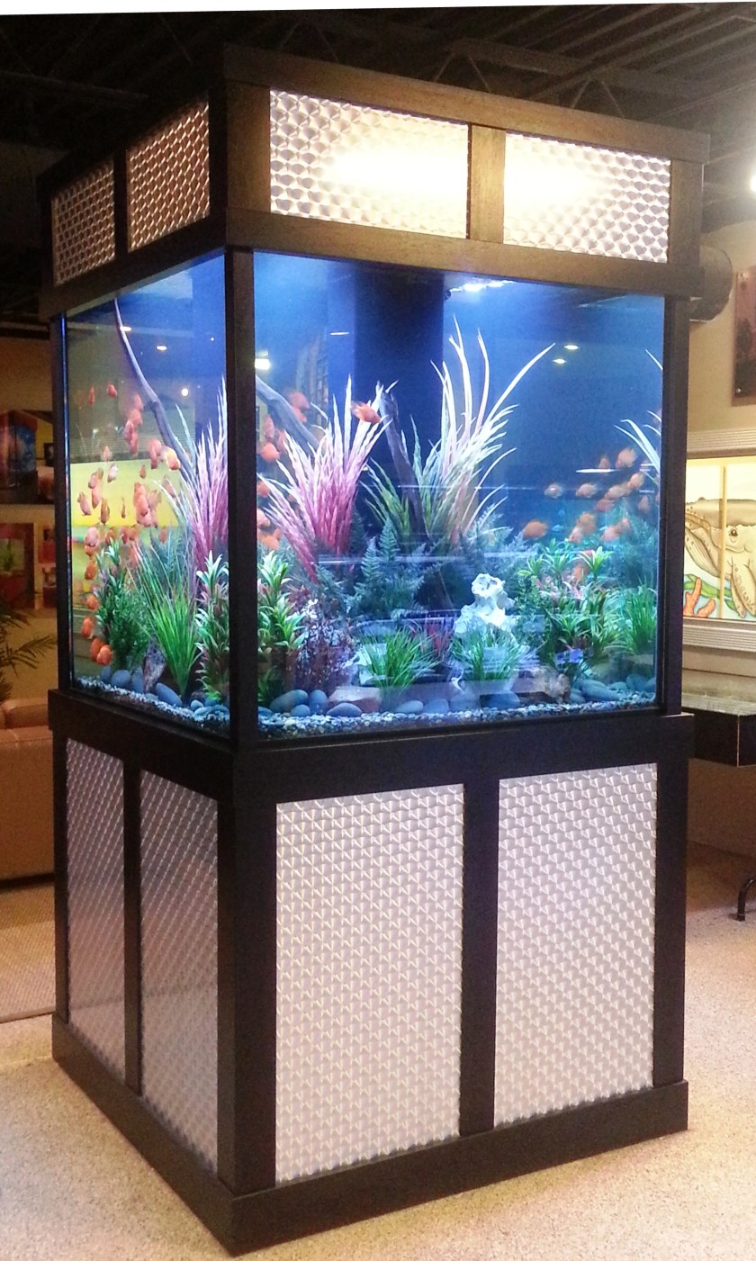 475 gallon freshwater, 48” x 48” x 48”, L x W x H with custom Swirl Brushed Stainless Steel with Black Highlights Stand and Canopy(Dallas,Tx.)
