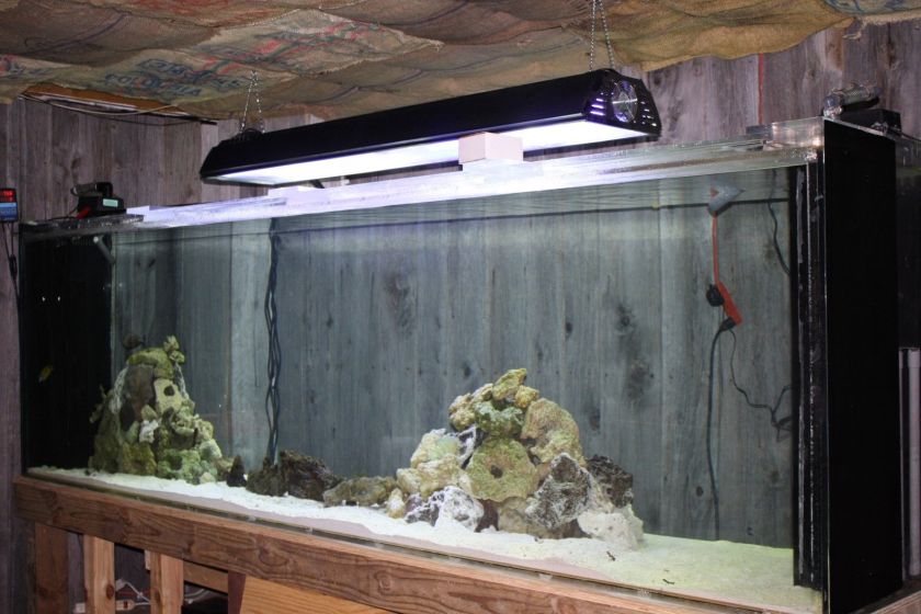 1000 + GALLON AQUARIUM ACRYLIC, REFUGIUM, LIVE ROCK, SALT WATER UP AND RUNNIN