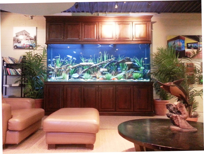 600 gallon freshwater, 120” x 24” x 48”, L x W x H with custom Traditional Style Stand and Full Upper Cabinets(Dallas,Tx.)