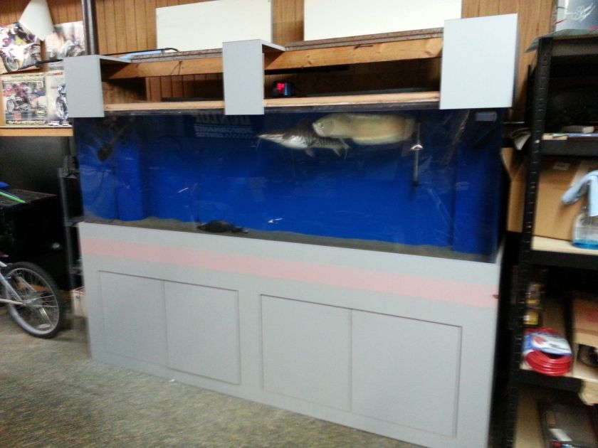 Aquarium Clarity Plus Acrylic 300 Gallon Set up LQQQQQQQQQQK $2200 