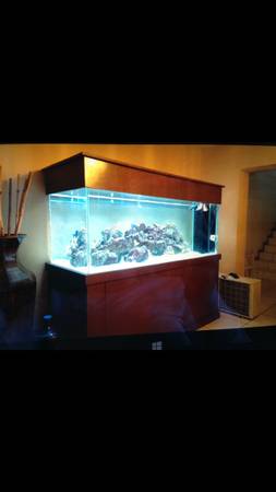 300 gallon salt water fish tank - $3500 (miami, fl)