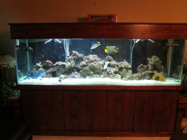 300 gallon salt water custom fish tank - $1500 (hollywood,Fl.) 