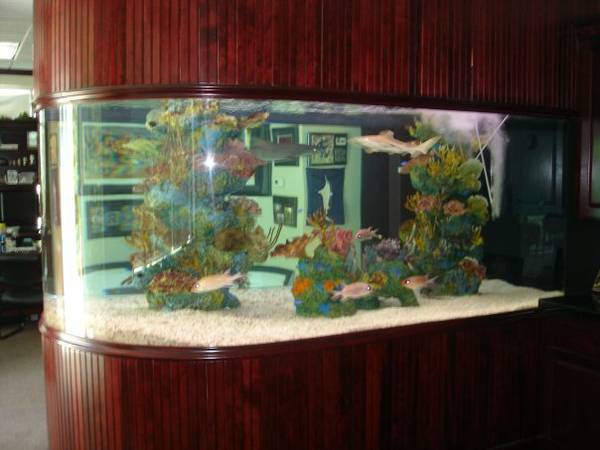 2000 gallon Shark Aquarium System - $20000 (portland )