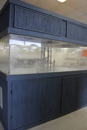 600 Gallon Acrylic Saltwater Aquarium - $4000 (Navarre, FL)
