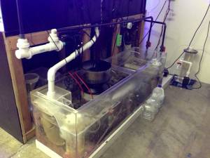 00909_4qp31vGL3Sq_600x450