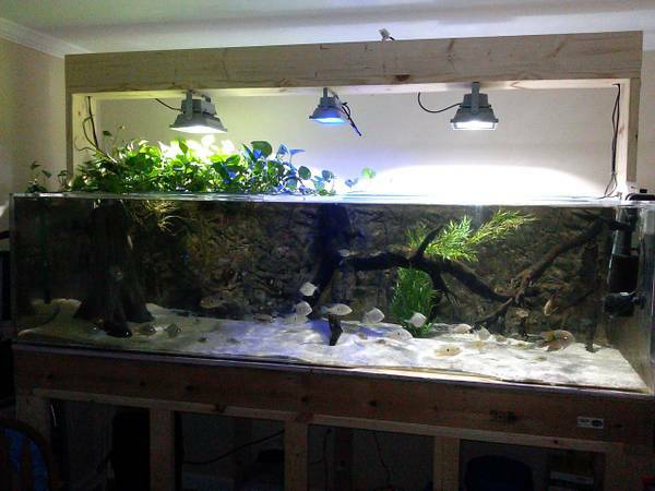 350 Gallon Acrylic Aquarium For Sale - $1800 (Grassy Creek, Virginia)