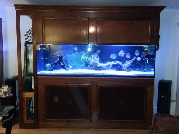 300g Glass Reef Ready Aquarium - $1500 (Loma Linda,Ca)