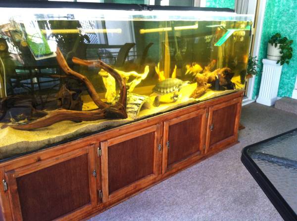 300 gal. TruVu aquarium & stand - $1000 (fremont / union city / newark, CA)