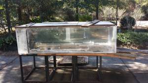 00T0T_kQdM0pTaHSU_600x450