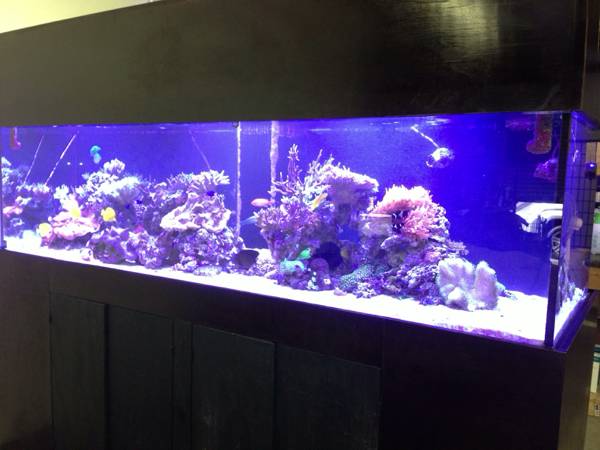 500gal. Aquarium for Sale- SALT WATER - $8000 (Corpus Christi, Texas)