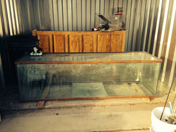 Aquarium (huge salt water) - $1500 (Bastrop, Tx) 