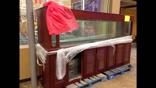 400 Gallon salt water aquarium Tank - $2200 (Grand Prairie, Texas) 