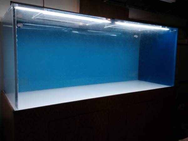 Acrylic 540 Gallon aquarium - $3500 (Midway city,CA)