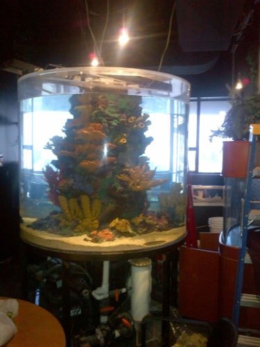 aquarium 500 gallon cylinder acrylicaquarium 500 gallon cylinder acrylic 