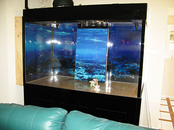 500 Gallon Saltwater Reef Aquarium Aquatic Lighting Steel Stand500 Gallon Saltwater Reef Aquarium Aquatic Lighting Steel Stand 