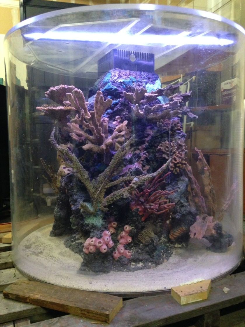 Custom 700 Gallon Cylinder Aquarium by ATM with Reef Insert 
