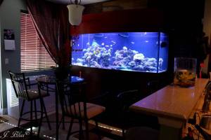 00808_tyejGzCKsg_600x450