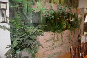 00909_aqWmcPLPxQA_600x450