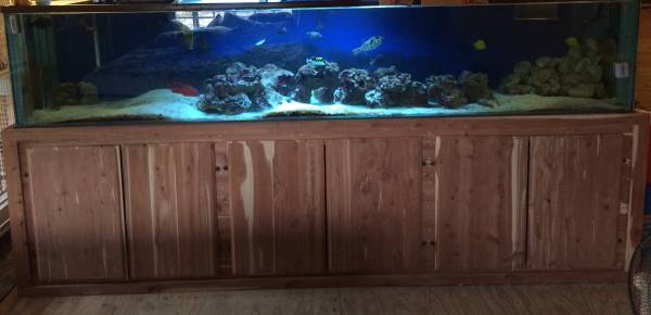 400 gallon aquarium & stand - $1200 (East Milton ) 