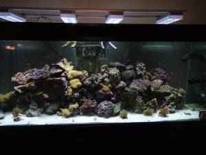 00i0i_8ohhz07TdLP_600x450