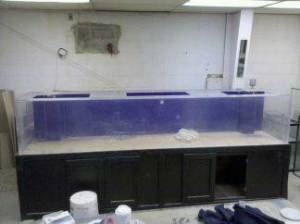 00K0K_6StXe8fceXo_600x450