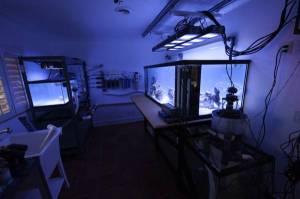 00v0v_eiM1cFm1tz0_600x450