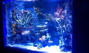 00w0w_af4PCyv4Osj_600x450