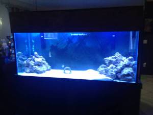 00X0X_944X7PRoXtk_600x450