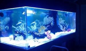 00101_hSY7KKtfzCt_600x450