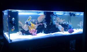 00202_2NIz87fnJr3_600x450