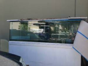 00303_el6r2CwT9MZ_600x450