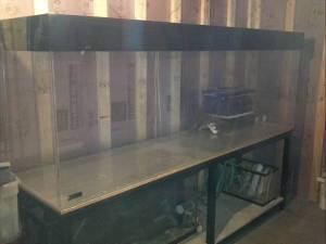 00606_4r8AF4uGofA_600x450