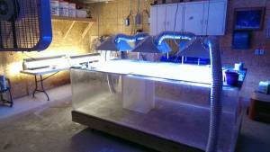 00A0A_1GqBVveYk5p_600x450