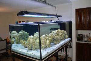 00A0A_dKBZSLT0YHQ_600x450