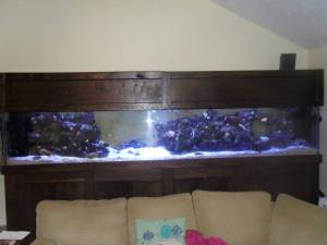 00B0B_oNBB8bj1i3_600x450