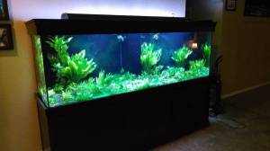 00M0M_k8mZBiCsITs_600x450