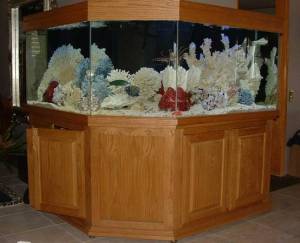 00O0O_9msFNaTuVVr_600x450