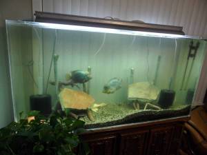 00u0u_eXtyadnBSID_600x450