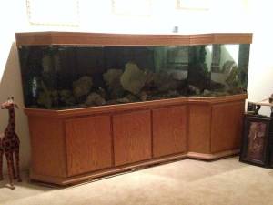 00101_ezTFFmSBU9q_600x450