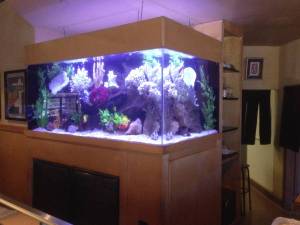 00101_gmBL60daJ25_600x450